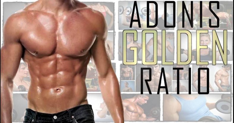 The Adonis Golden Ratio – complete training program review