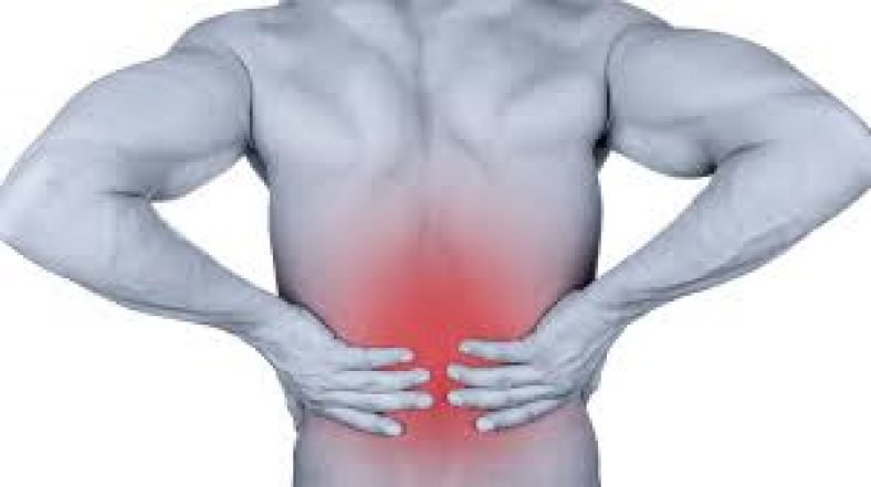 The Causes of Lower Back Pain