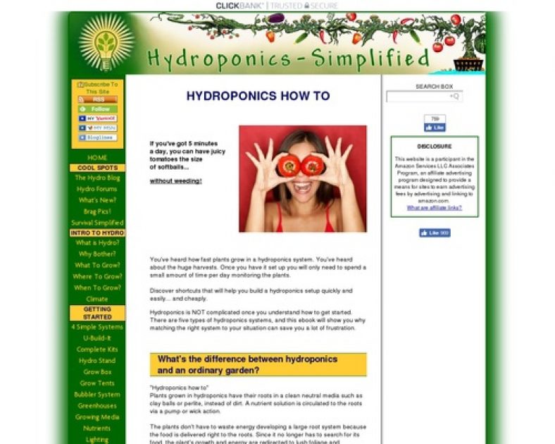 HYDROPONICS HOW TO- SIMPLY THE BEST GUIDE OUT THERE