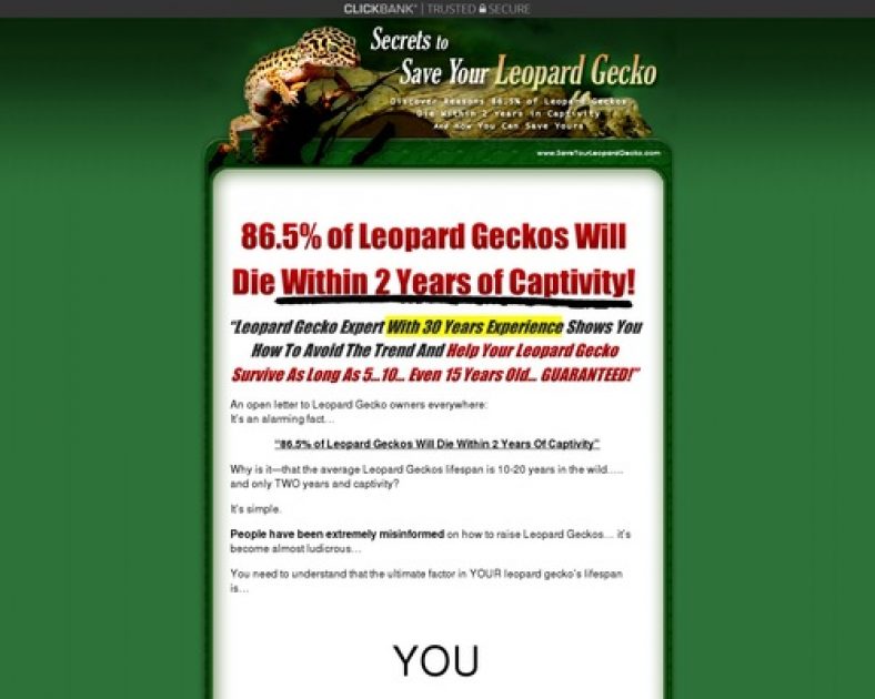 Save Your Leopard Gecko - Leopard Gecko Care