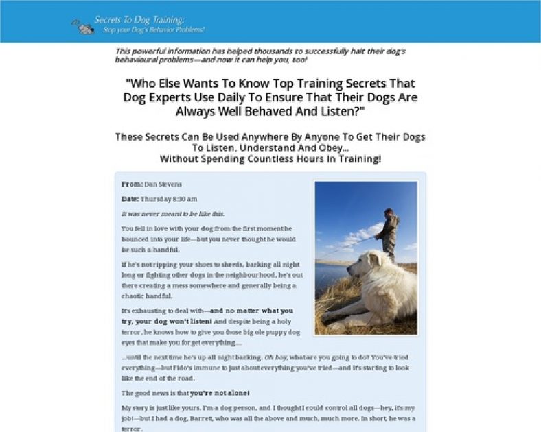 Secrets To Dog Training: Stop Your Dog's Behavior Problems!