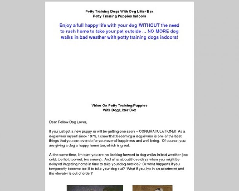 Potty Training Dogs With Dog Litter Box Potty Training Puppies