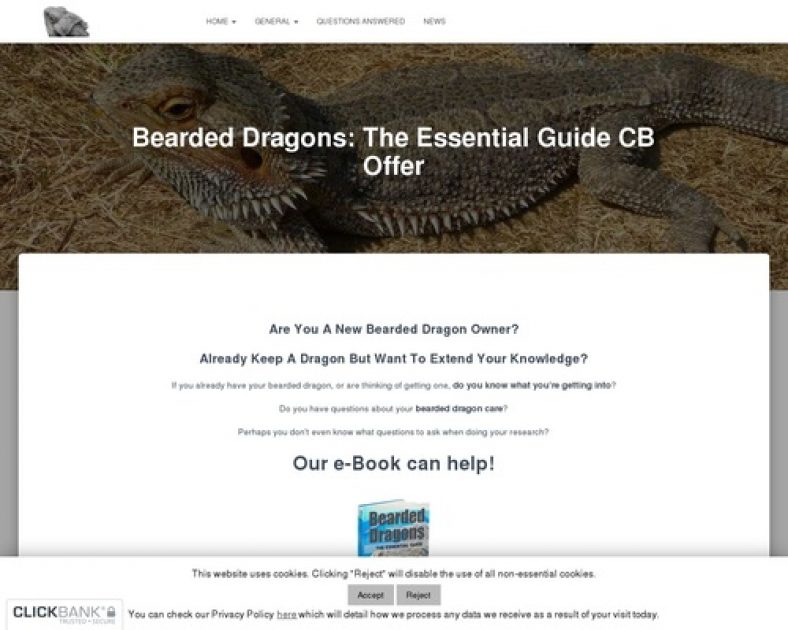 .oO Bearded Dragons: The Essential Guide Oo. » Bearded Dragons Rock
