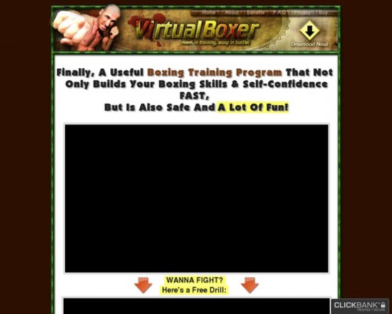 Virtual Boxer - Boxing Training Program - Boxing Game - Try For Free!