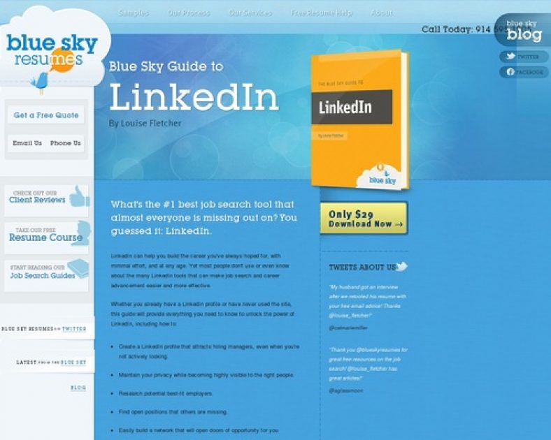The Blue Sky Guide To Linkedin