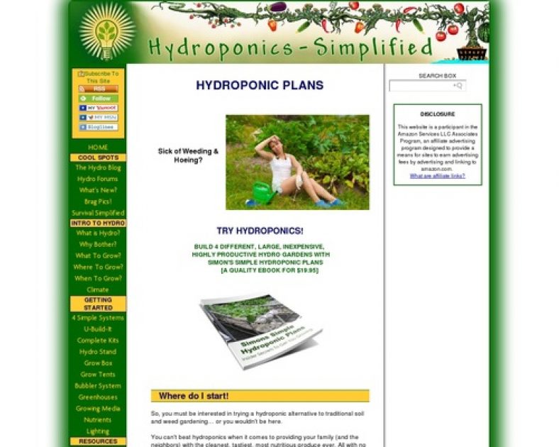 HYDROPONIC PLANS-  DO IT RIGHT THE FIRST TIME