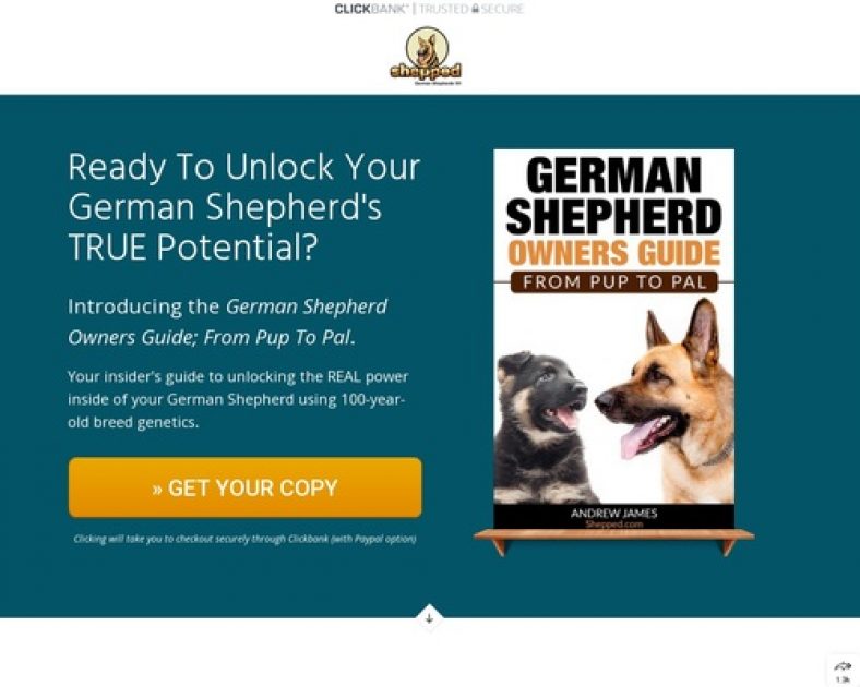 German Shepherd Owners Guide; From Pup To Pal | Shepped.com