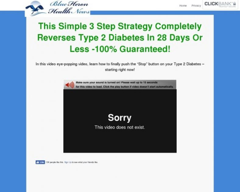 Type 2 Diabetes Strategy Review