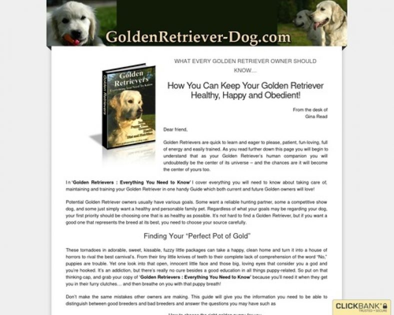 Golden Retriever Care And Training