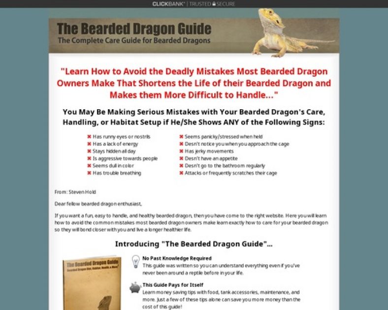 The Bearded Dragon Guide » How to Care for Bearded Dragons
