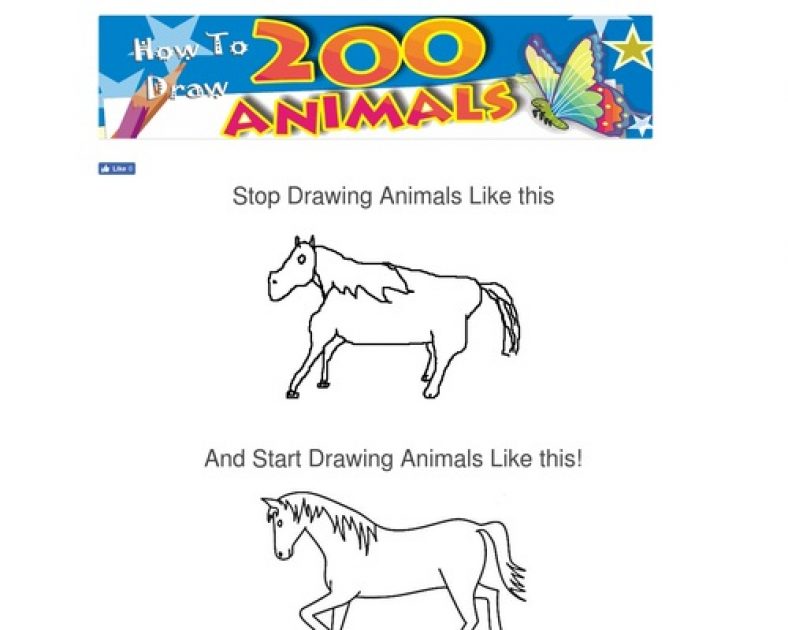 How To Draw Animals – Step by Step Books